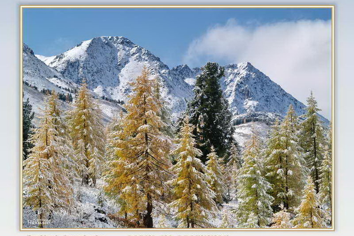 Заглянуть за туманы